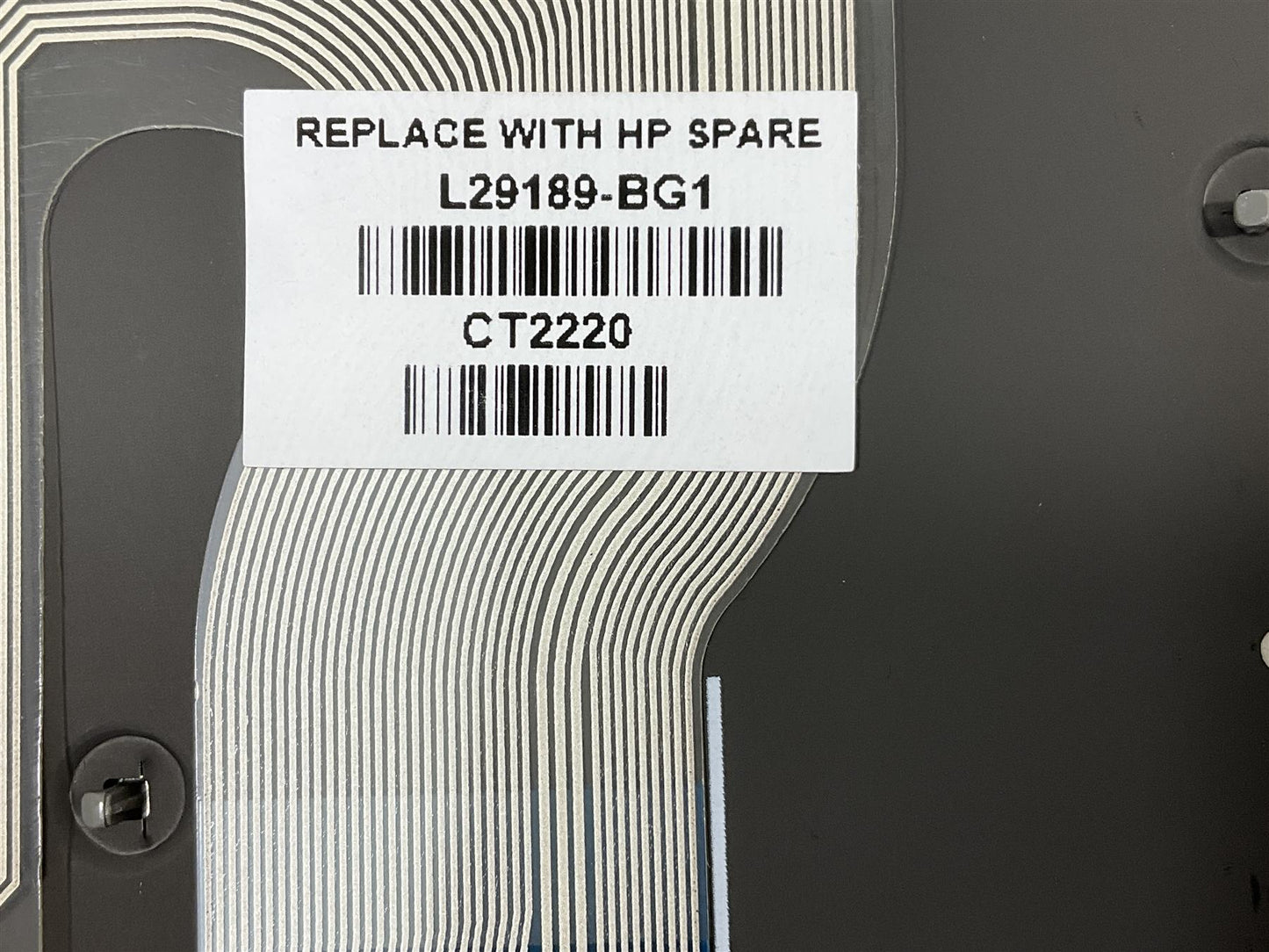 HP EliteBook 840 845 846 G6 L29189-BG1 Switzerland Swiss Keyboard Genuine NEW