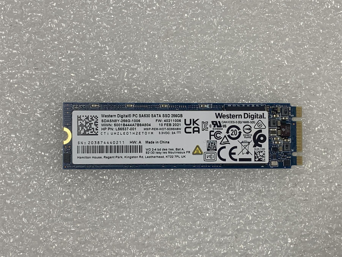 For HP ProBook 11 G2 Education Edition  Laptop Notebook L56537-001 Western Digital SA530 M.2 SSD 256GB SDASN8Y-256G-1006 2280 NEW