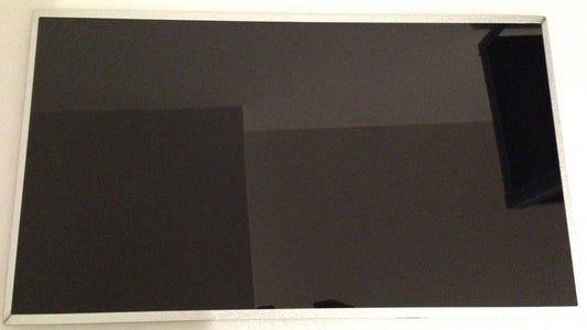 HP 255 G1 15.6  inch LED Display Laptop Screen Glossy GENUINE N156BGE L21 -